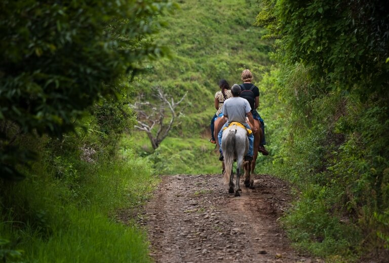 Carrigart Riding Stables